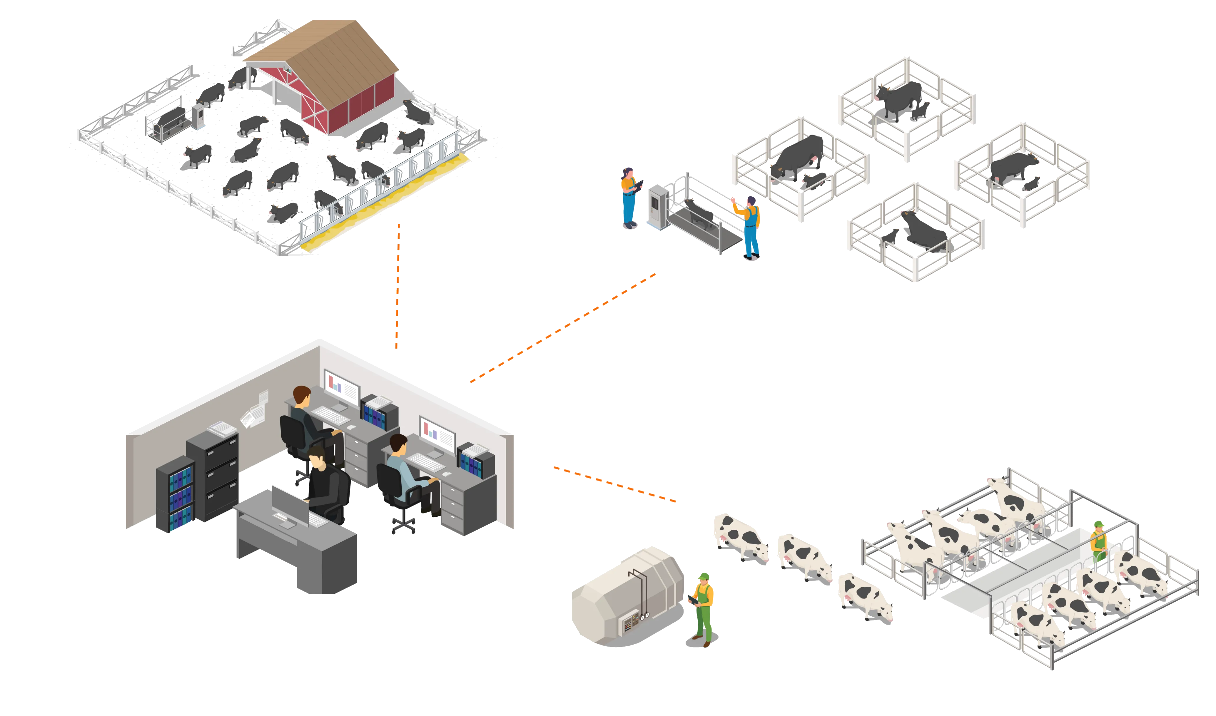 Multifazenda